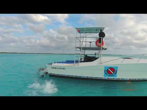 Videos del The Explorean Cozumel 4★ en Cozumel, MéxicoVer MásVerPrecios17CerrarConsulta por Whatsapp 🇦🇷BookingTripadvisorExpediaAgodaTravelocityOrbitzPricelineTripSkyscannerDespegarKayakHotelesBestdayDestiniaTrivagoAlmundoTui
