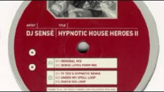 DJ Sensé ‎– Hypnotic House Heroes II (Ty Tek's Hypnotic Remix)