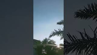 Download lagu sp birahi senja suara panggil walet paling top mp3 Download lagu sp birahi senja suara panggil walet paling top mp3