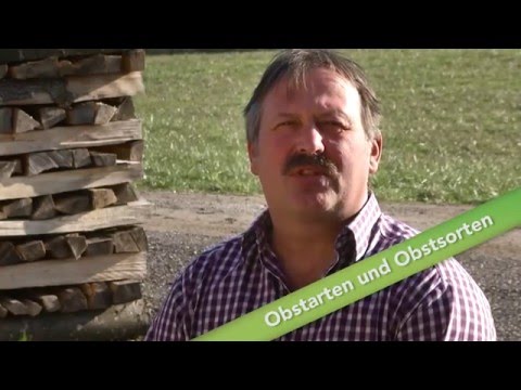 Baumschnitt Folge 01 - Obstarten und Obstsorten