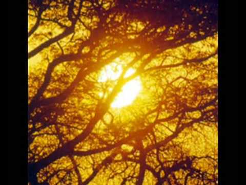 TAN SOLO HE VENIDO - JUAN LUIS GUERRA