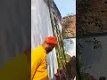 Hamre Village Ka Ram Navami Ka Vlog Vlog Roshni Singh Vlog