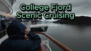 College Fjord Scenic Cursing, Alaska#grandprincess #travel #alaska #cruiseship #nationalparks