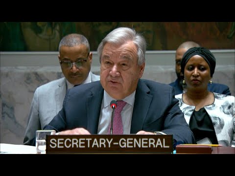 Middle East, world cannot 'afford more war': UN chief | AFP