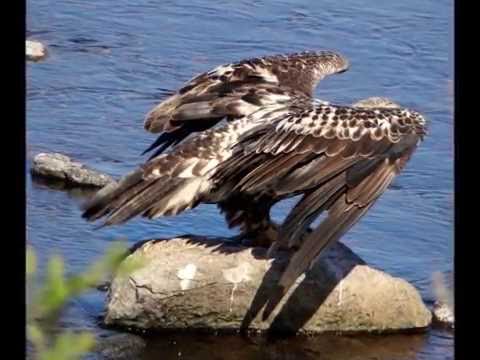 Tuck Pence "New Memories and The Big Show" by Tuck Pence, Photography and Video by Mary Marineau