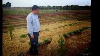 preview picture of video 'Huerta Ecológica Carlet'