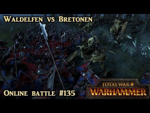 Manövrieren für den Sieg - Waldelfen vs Bretonen - Total War: Warhammer Online #135