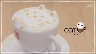 คาเฟ่แมว Catup Cafe ร้านเล็กๆ แต่แมวน่ารักมากกกกก