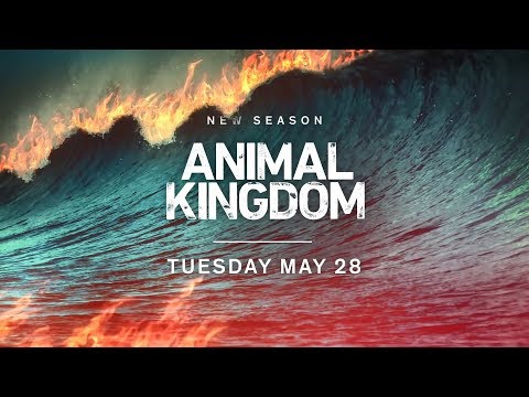 Animal Kingdom Season 4 (Extended Promo)
