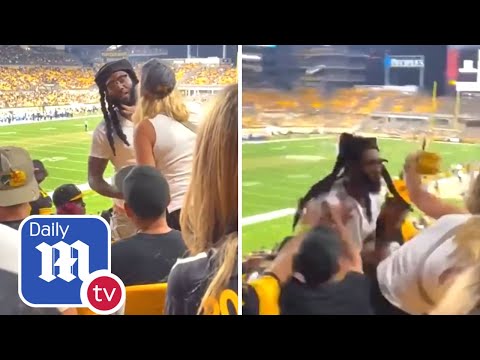 Steelers Lions fight: Brawl breaks out at Heinz Field after woman SLAPS man across face