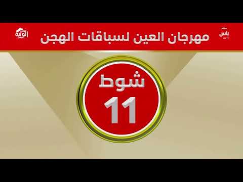 ملخص السباق ، ختامي مهرجان العين 2026/10/08 حول وزمول الروضة