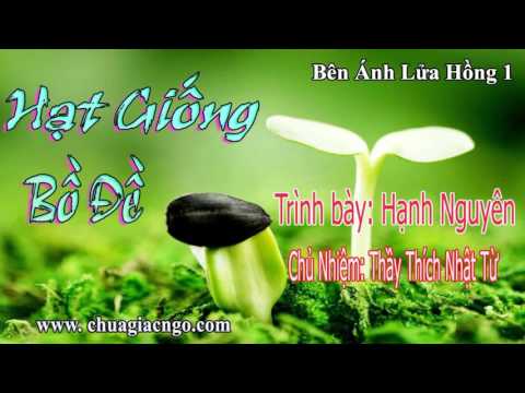 Hạt giống Bồ đề