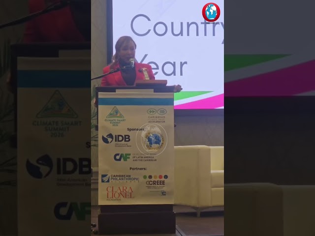 WATCH: Barbados named Climate-Smart Country of the Year at Caribbean summit