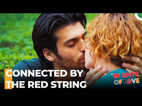 The Best Proof of Love Is Trust - In Spite of Love