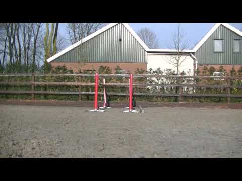 etoulon x corrado loosejumping