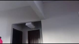 PRO 000090 - FAIXA PRETA X ABDALA 874 - 8 MESES