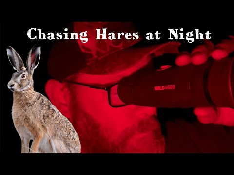 Night Hunting Hares with the Ruger 10/22