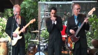 Tip of the Top Blues Band LIVE! // Little Walter's "Crazy Mixed Up World"