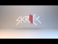 Skrillex - Essential Mix 2013 - BBC Radio1 - Pete ...