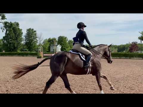 QUANTICO video 3