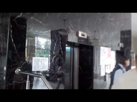 Hotel Cerbul Covasna