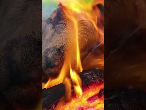 Goat Head Cleaning & Cutting For New Recipe In Village Cooks