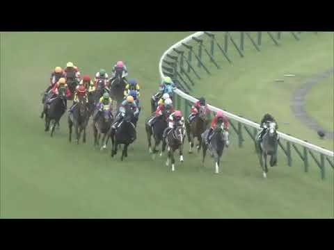 2021.05.16 Victoria Mile (JPN) - Gran Alegria