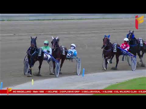 V corsa del 14 gennaio 2023   3 Anni   Metri 1600