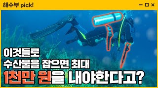 이것들로 수산물을 잡으면 최대 1천만 원을 내야 한다고? [불법채취 절대 금지!]