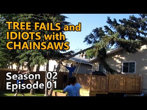 All new and rare! Tree Fails and Idiots with Chainsaws S02E01