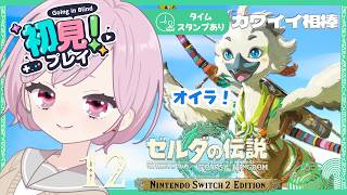 カワイイ相棒チューリくんと大冒険＆属性攻撃に大興奮する九州の蛮族｜シリーズ完全初見【ゼルダの伝説 ティアーズ オブ ザ キングダム｜ティアキン｜TotK】#12