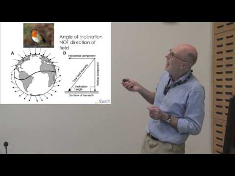 Quantum Biology - Johnjoe McFadden