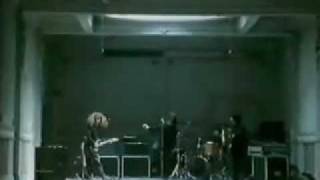 An Emotional Fish - Celebrate