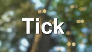 Gorillaz - Ticker Tape( Fan Made Lyric Video).