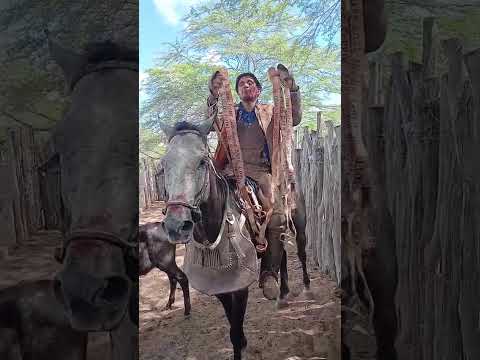 O VAQUEIRO JACAUNA PEGA 5 BOI NA PEGA DE BOI EM FLORESTA PE NO PARQUE OZIRES FERRAZ