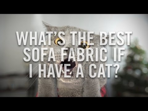What's the best type of fabric for my sofa if I have a cat?