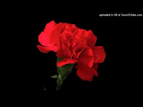 Today's Tango Is... Mi Clavel - Roberto Firpo 04-12-1930