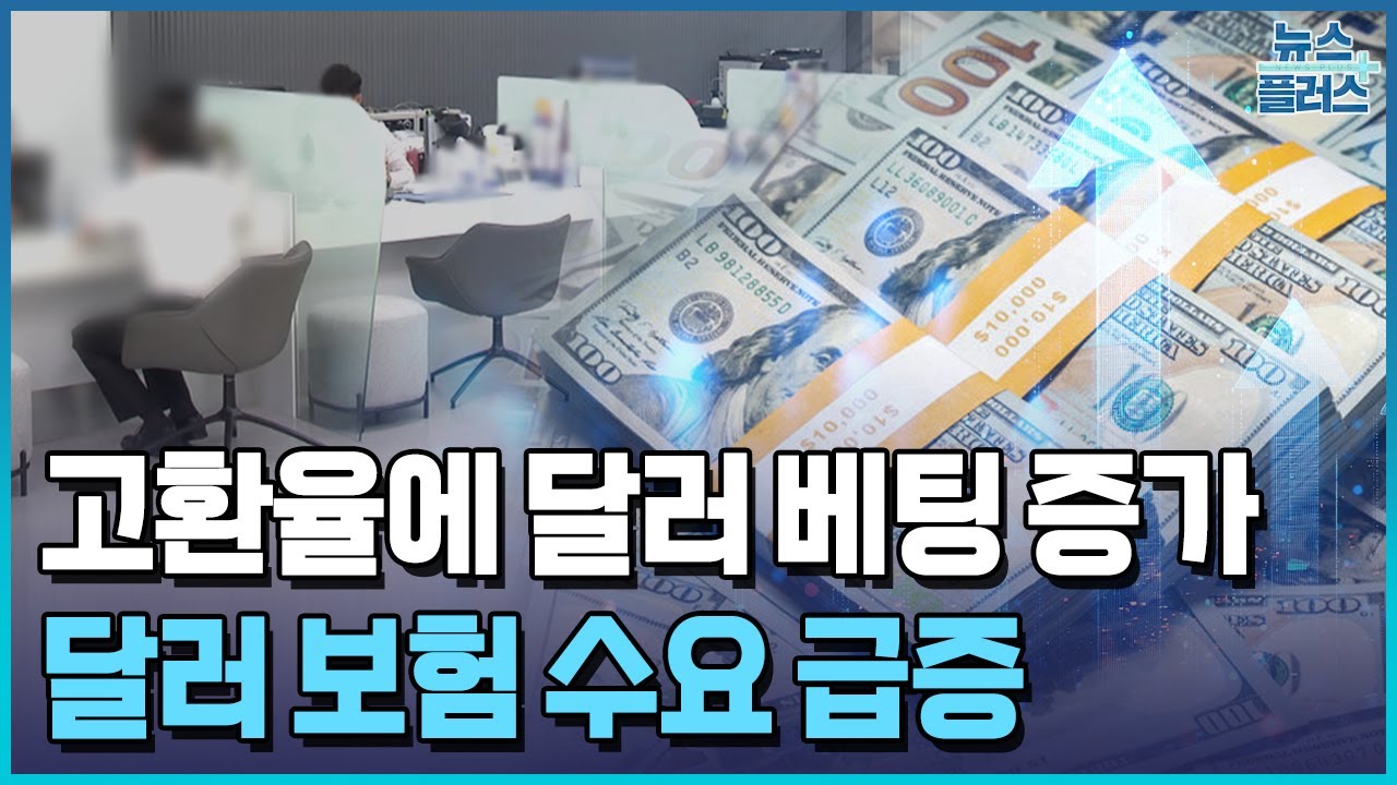 환율 하락 때마다 줍줍...달러 보험 판매 2년 새 9배 / 한국경제TV뉴스