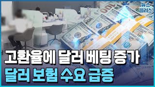 환율 하락 때마다 줍줍...달러 보험 판매 2년 새 9배 / 한국경제TV뉴스