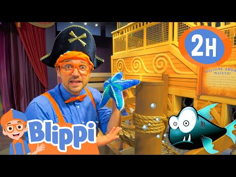 Blippi Visits a Children's Museum | 2 HOURS OF BLIPPI FULL EPISODES | Educational Videos for Kids
