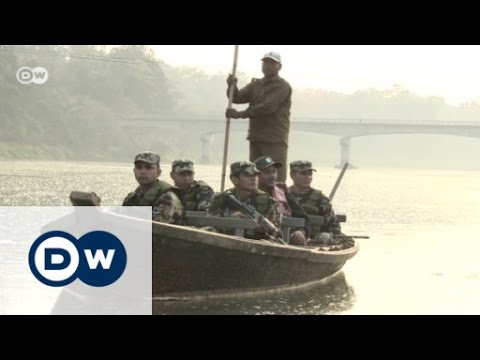 Im Auge des Tigers | Global Ideas