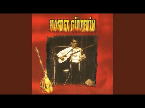 Video Yükleniyor...