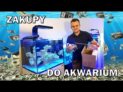 [Morskie] 🛍 HAUL ZAKUPOWY 🤑 |1| Pokazuję moje zakupy do akwarium!