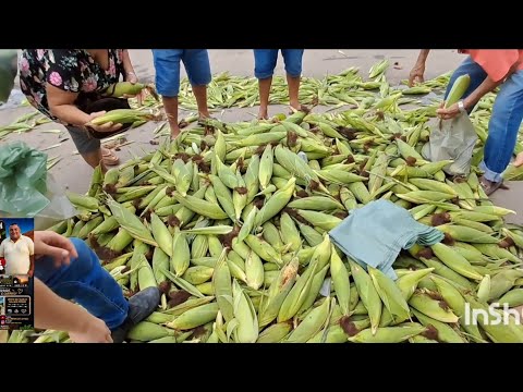 Feira livre da cidade de estrela de Alagoas /AL todas os sábado 13 de junho de 2026
