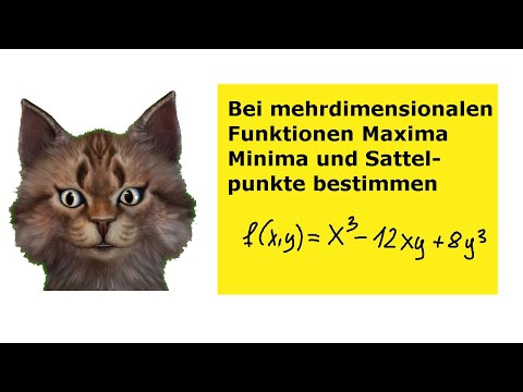 Bei mehrdimensionalen Funktionen Maximum, Minimum und Sattelpunkte bestimmen