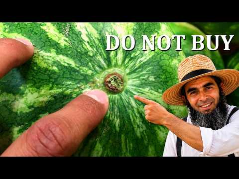 How to Pick a Sweet Watermelon... The Old AMISH Way