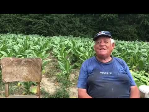 Boer Joel vertelt een klucht