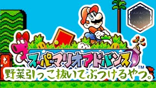 野菜投げるゲーム。#3【スーパーマリオアドバンス/Super Mario U.S.A】