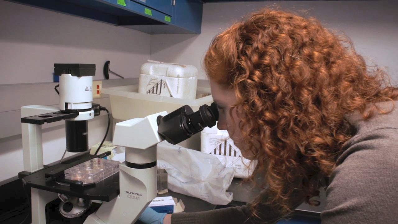 Impact of Giving at Columbia Engineering