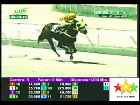 LA RINCONADA 3 CARRERA, DOMINGO 09 DE OCTUBRE DEL 2016